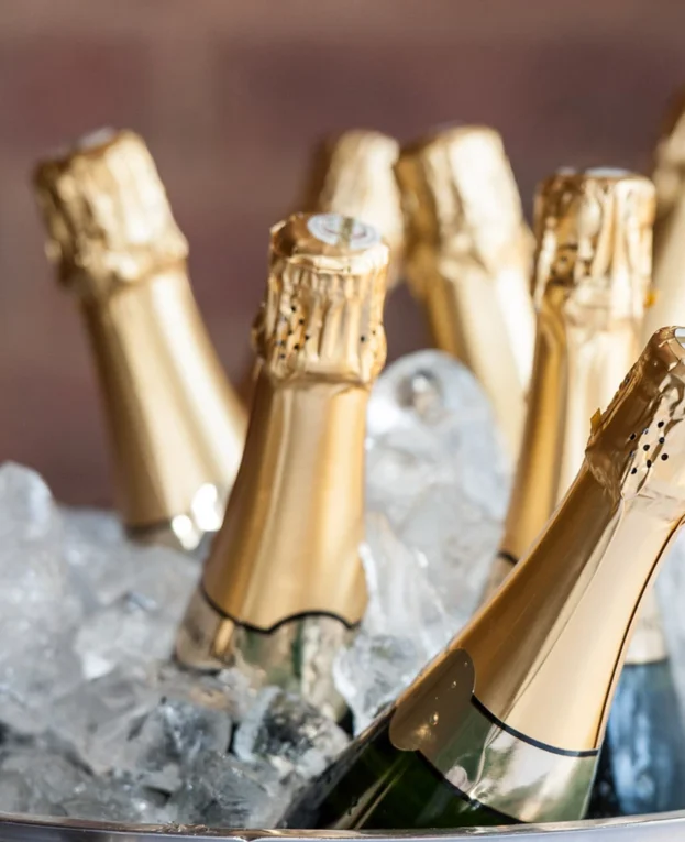 Several champagne bottles with gold foil tops are chilling in a bucket filled with ice.