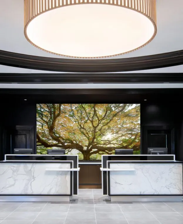 Modern hotel reception area with two marble desks, black accents, and a large tree mural behind them under a circular ceiling light.